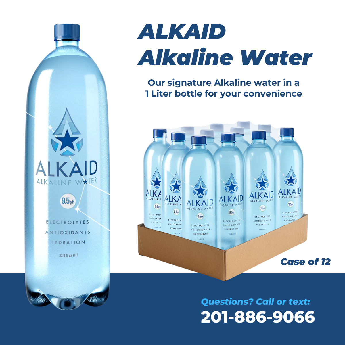 ALKAID case