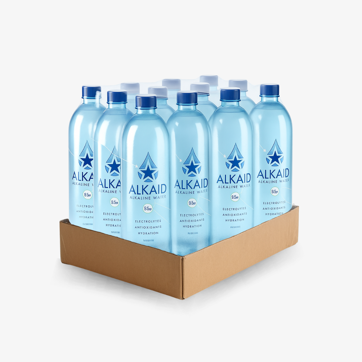 ALKAID case